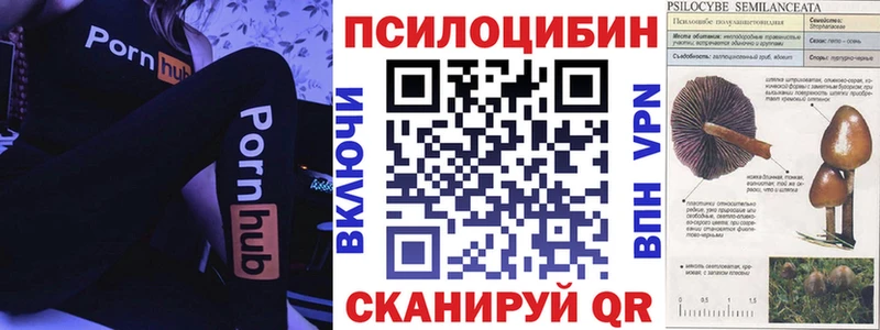 как найти наркотики  kraken ONION  Псилоцибиновые грибы Magic Shrooms  Люберцы 